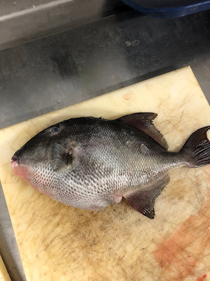 Photo 45 Seafood - 11