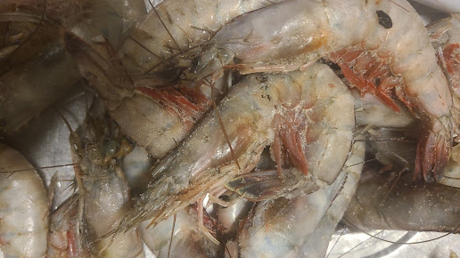 Photo 45 Seafood - 13