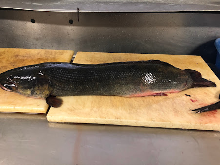 Photo 45 Seafood - 17