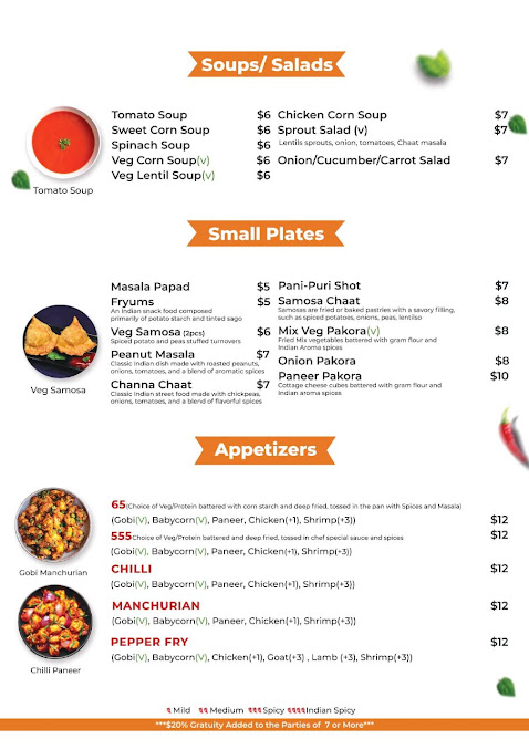 Menu Aha Indian Grill Spring Hill - 23