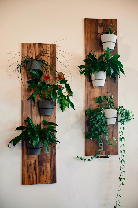 Photo Basu Coffee Bar & Vietnamese Eatery - 15