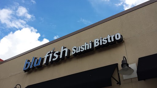 Photo Blufish - 5