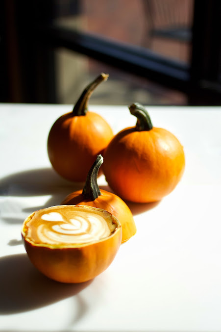 Photo Calibre Coffee - 11