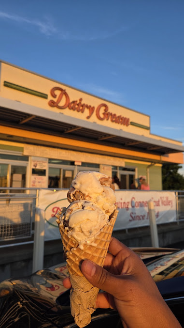 Photo Dairy Dream - 17