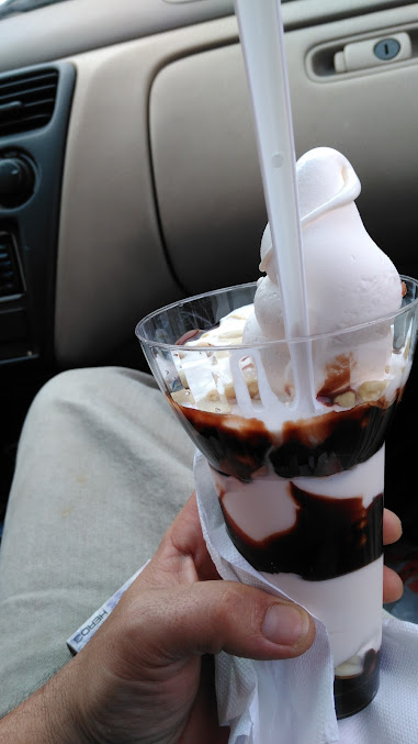 Photo Dairy Zone - 18