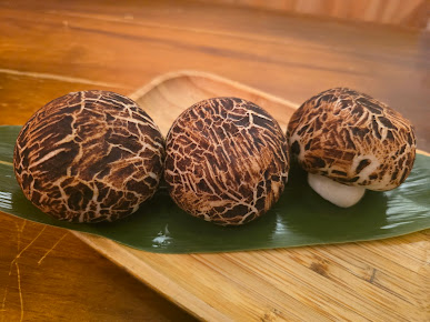 Photo Din Soup Dumplings 鼎泰轩 - 6