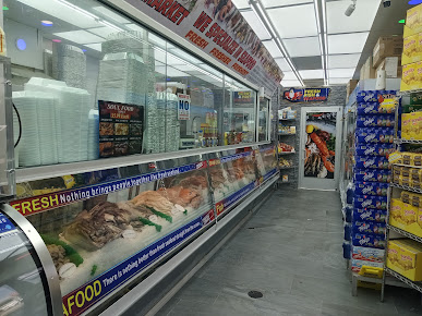 Photo Fish Station - 12