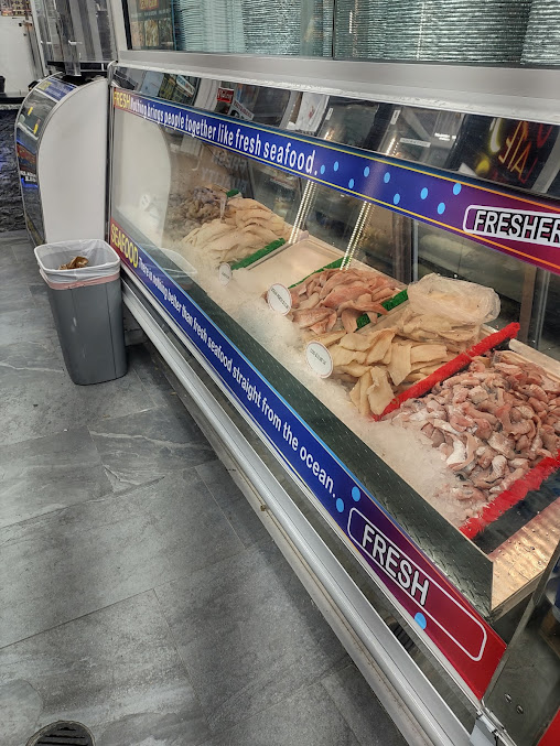 Photo Fish Station - 15