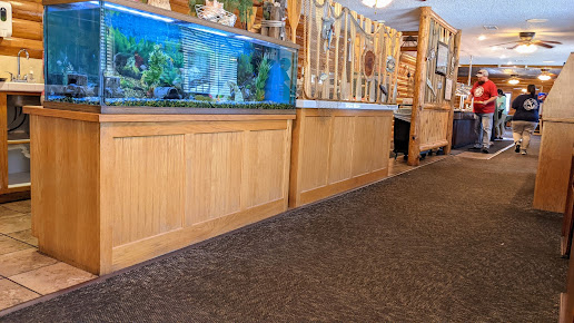 Photo Glenwood Fish Nest - 9