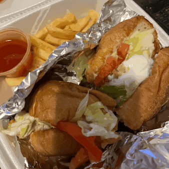 Photo Gyro 47 - 3