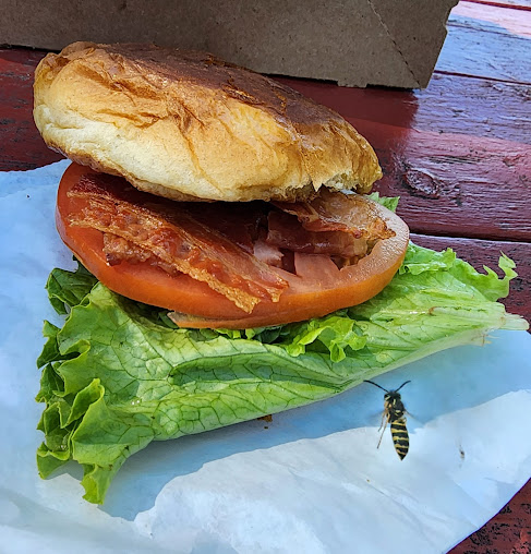 Photo Handy Hill Creamery - 18