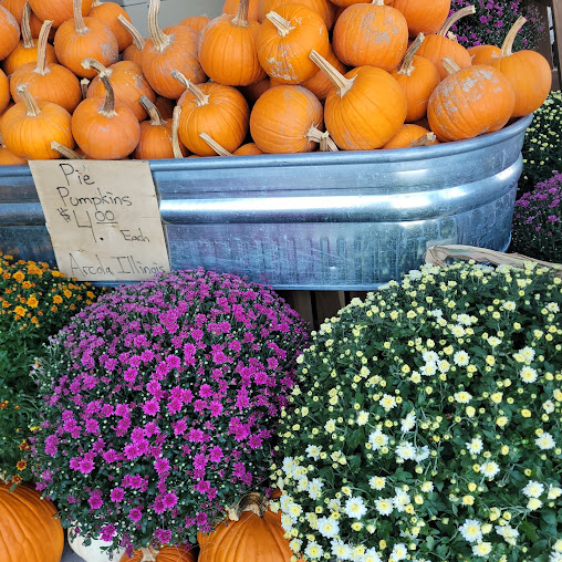Photo Harvest Market - 9