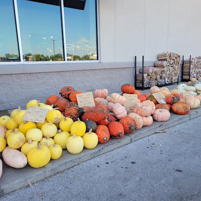Photo Harvest Market - 7