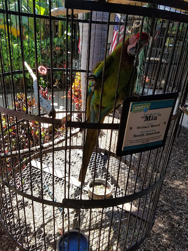Photo Jerrys Foods Of Sanibel - 7