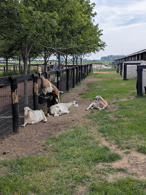 Photo Laclare Family Creamery - 16