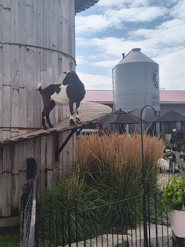 Photo Laclare Family Creamery - 7