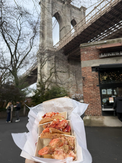 Photo Luke's Lobster Brooklyn Bridge Park - 19
