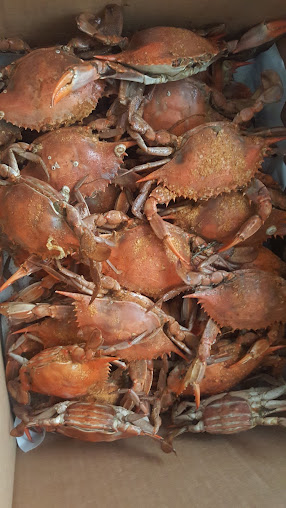 Photo M A Seafood - 12