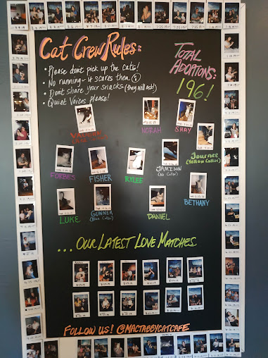 Menu Mac Tabby Cat Cafe - 21