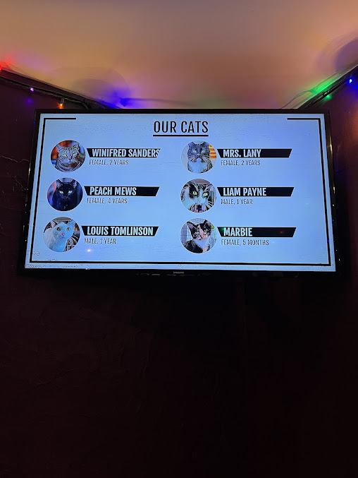 Menu Mac Tabby Cat Cafe - 22