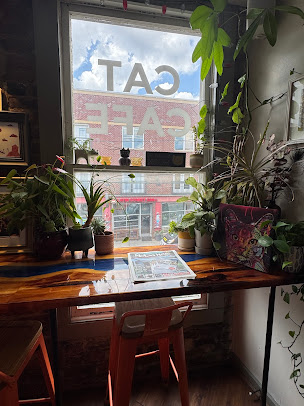 Photo Mac Tabby Cat Cafe - 13