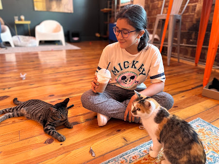 Photo Mac Tabby Cat Cafe - 8