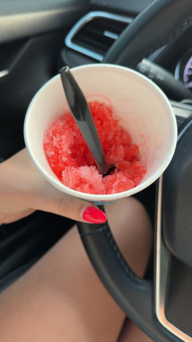 Photo Pelicans Snoballs - 17