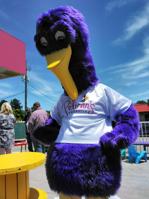 Photo Pelicans Snoballs - 18