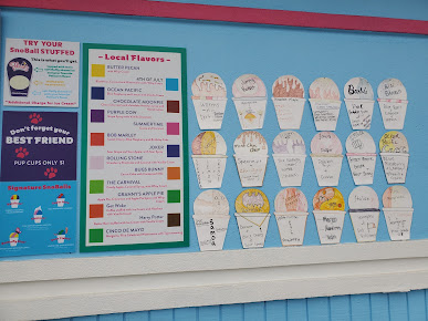 Photo Pelicans Snoballs - 8