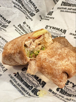 Photo Rammys Sub Contractors - 8