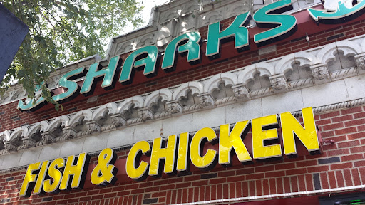 Photo Sharks Fish Chicken - 4