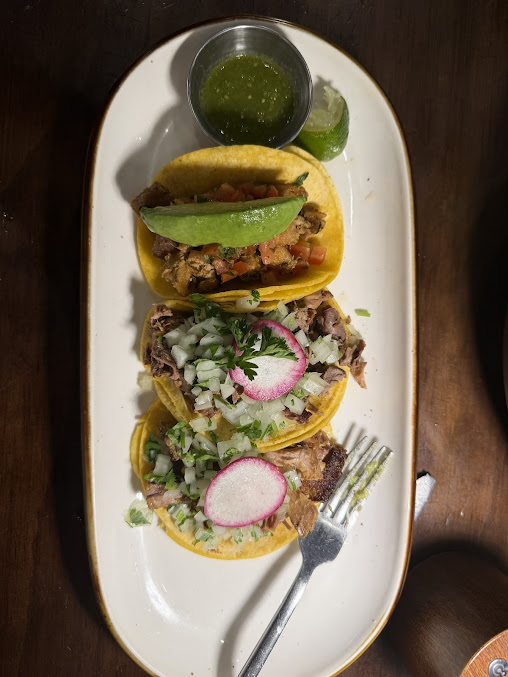 Photo Sol Agave - 10