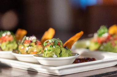 Photo Sol Agave - 16