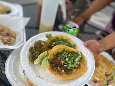 Photo Taqueria Mi Palmar - 13