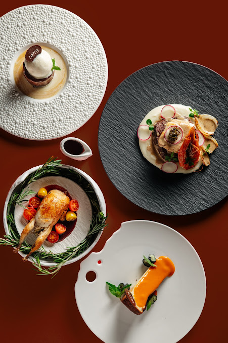 Photo Terra Fried Chicken - 6