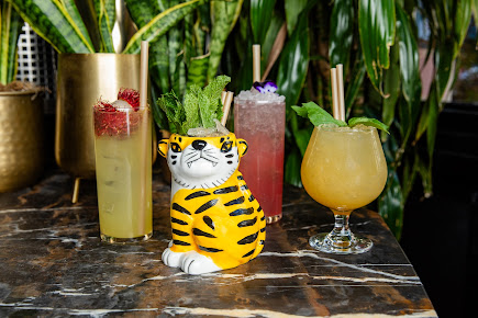 Photo The Tyger - 17