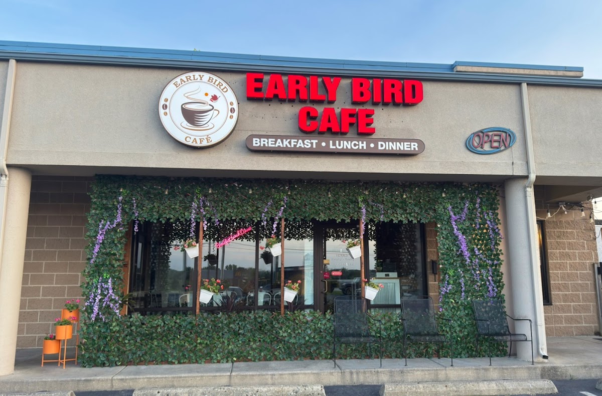 Early Bird