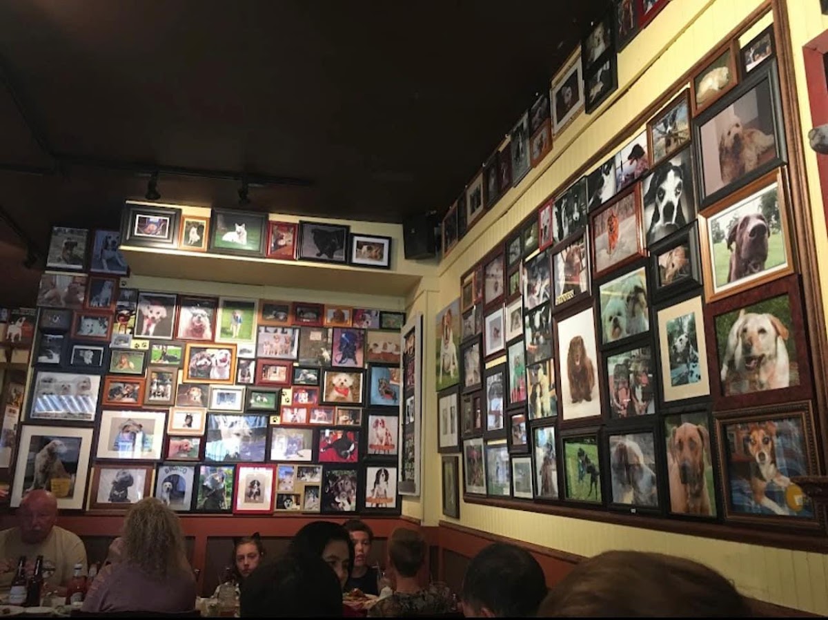 Fetch Bar Grill