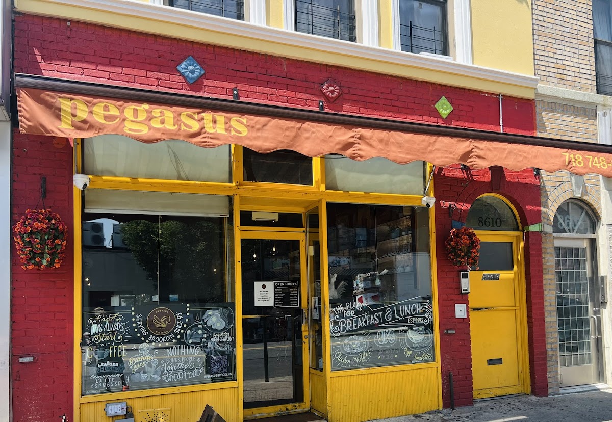 Pegasus Brooklyn