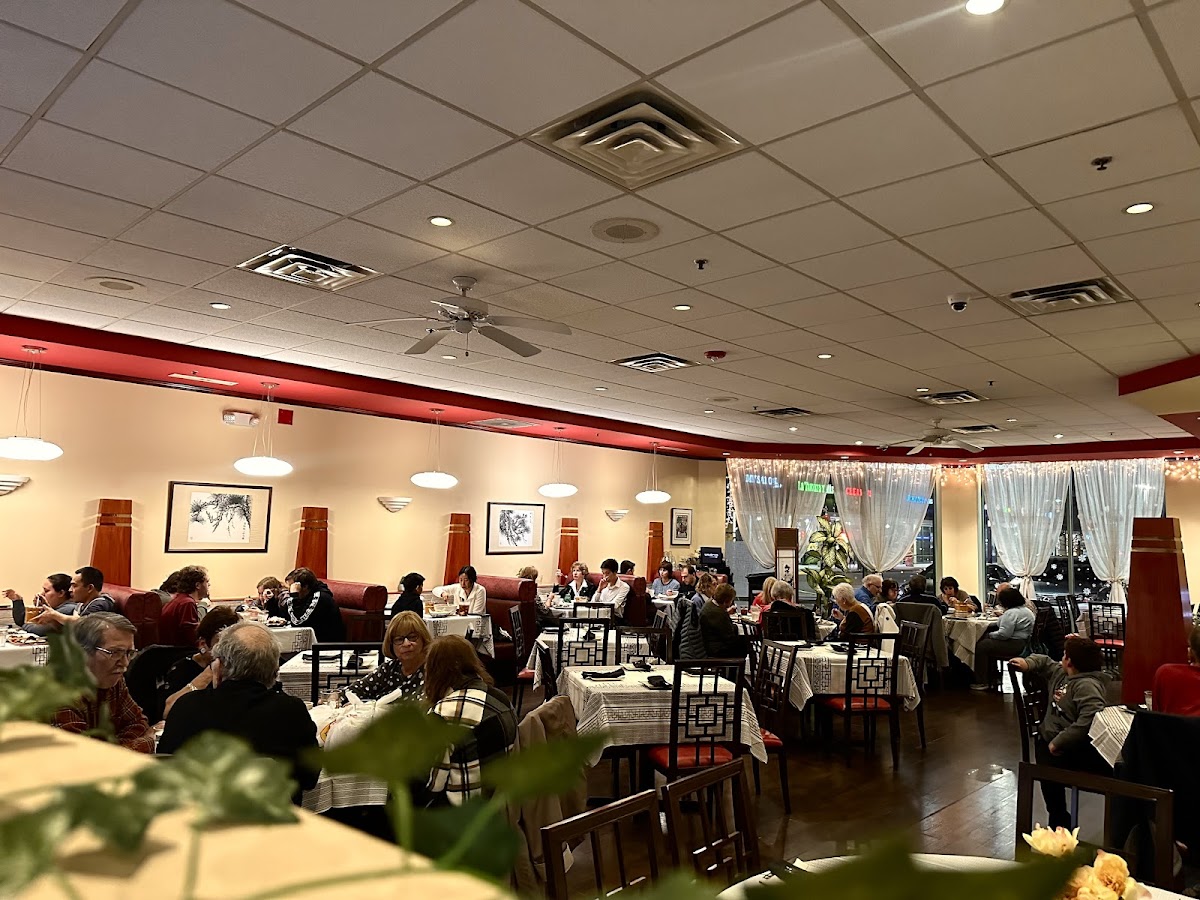 Szechwan North - Authentic Sichuan Cuisine Glenview